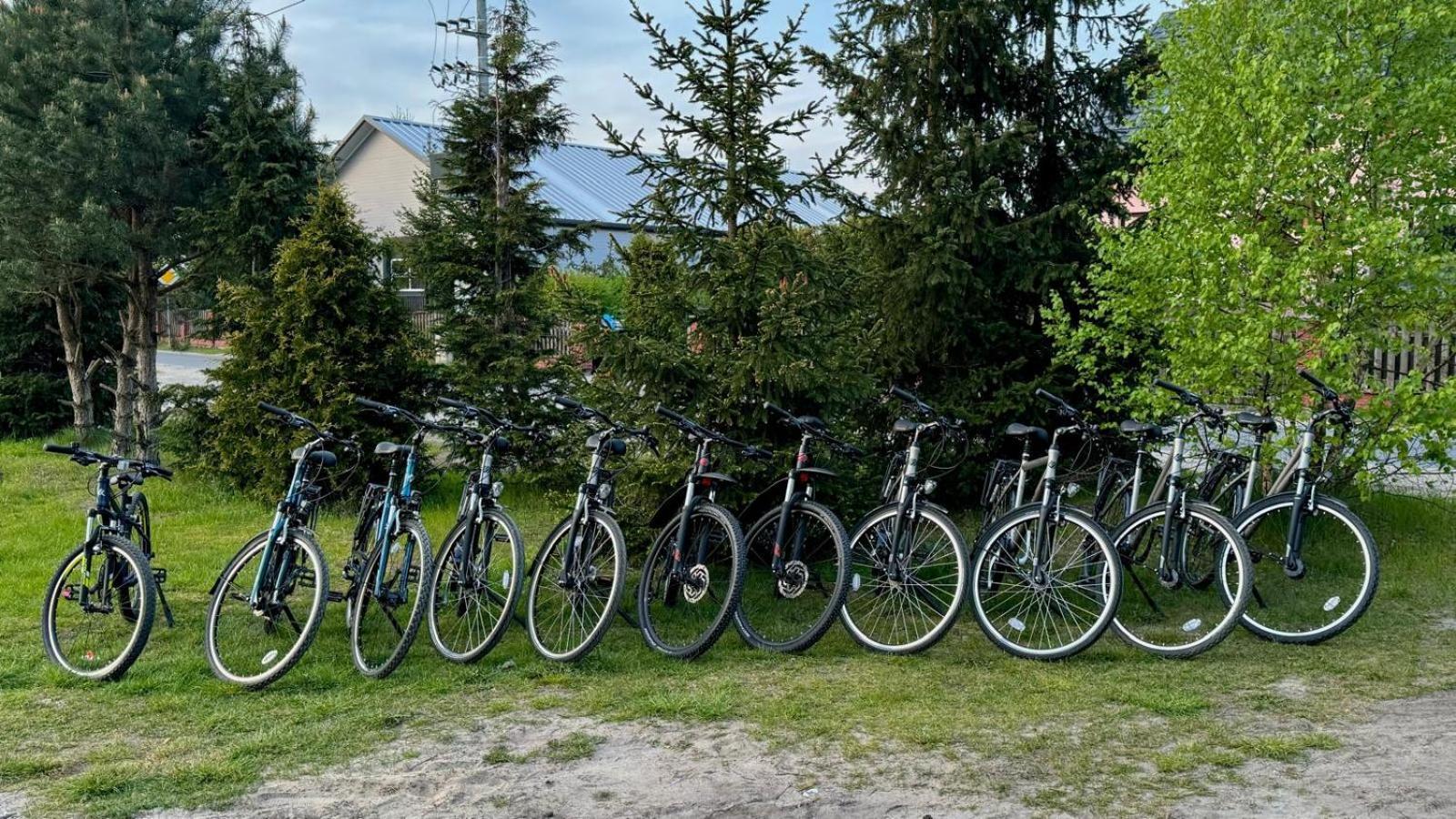 Domki Wypoczynkowe Las Śliwice Exteriör bild